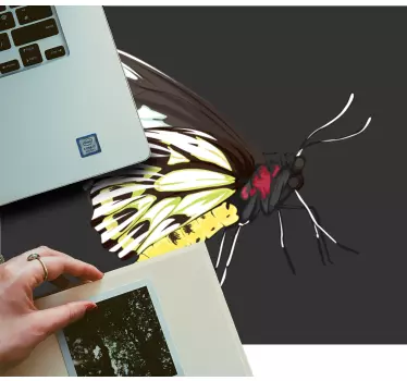 Stilizált pillangó illusztráció - eredeti egérpad - TenStickers