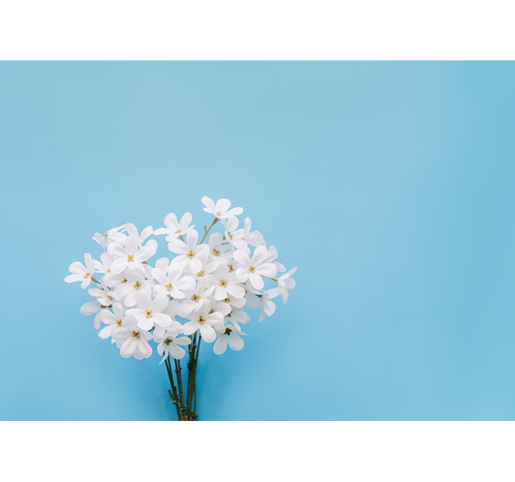 Jázmin kék háttér redőnyök konyha - TenStickers