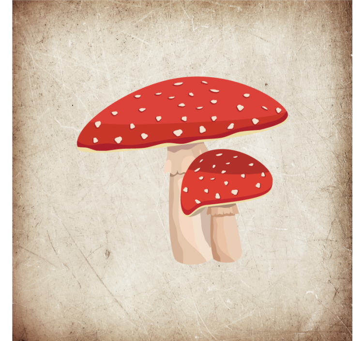 Redőnyök konyha - amanita gomba illusztráció - TenStickers