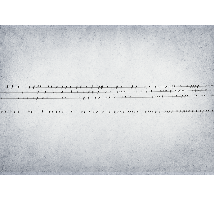 Fehér redőnyök - madarak koncertje a vonalakon - TenStickers