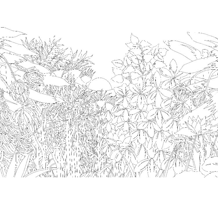 Trópusi dzsungel vázlat fehér redőnyök - TenStickers