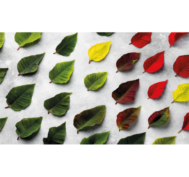 Színes levelek felülnézet - redőnyök nappali - TenStickers