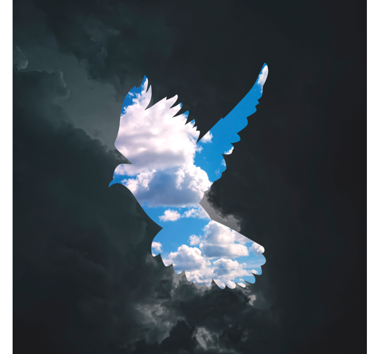 Magritte galamb redőnyök nappali - TenStickers