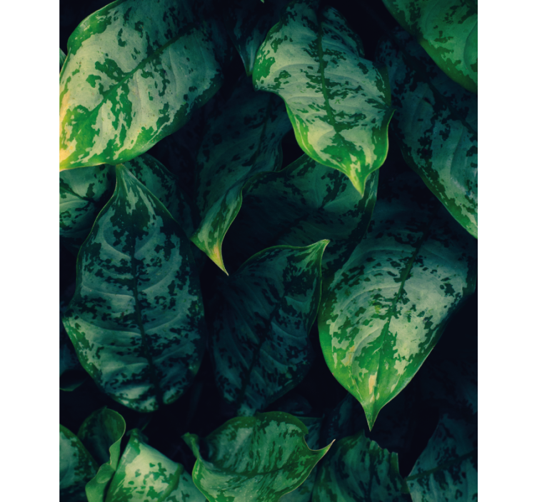 élénk zöld levelek Redőnyök Virágok és növények - TenStickers