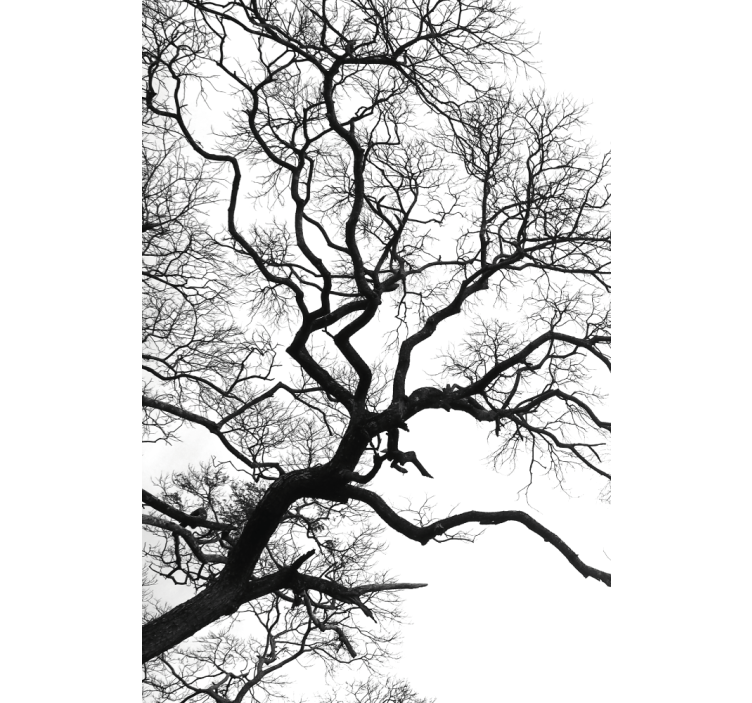 Egyetlen faág szakadása Rolókfestés - TenStickers