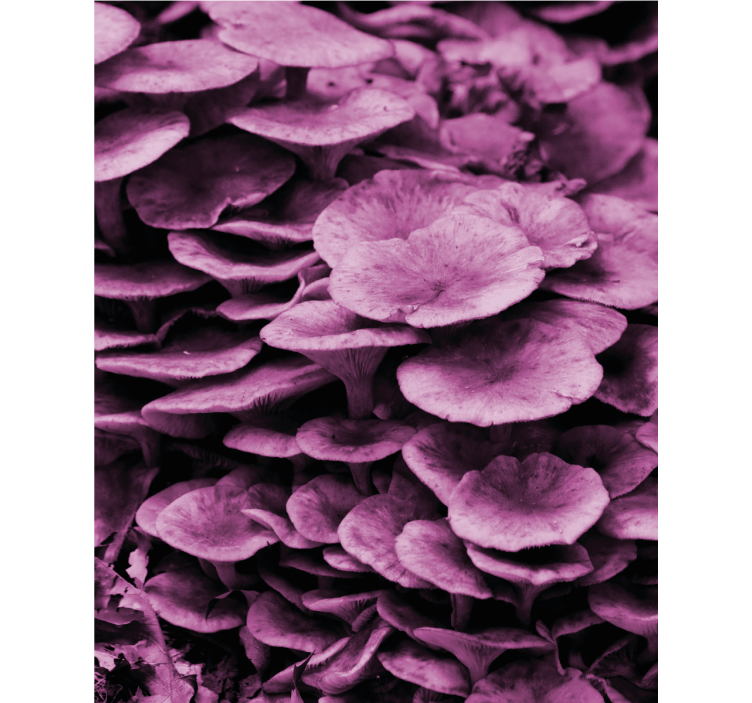 élénk virágrétegek Redőnyök Virágok és növények - TenStickers