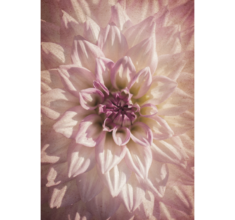 Finom virágzás Redőnyök Virágok és növények - TenStickers