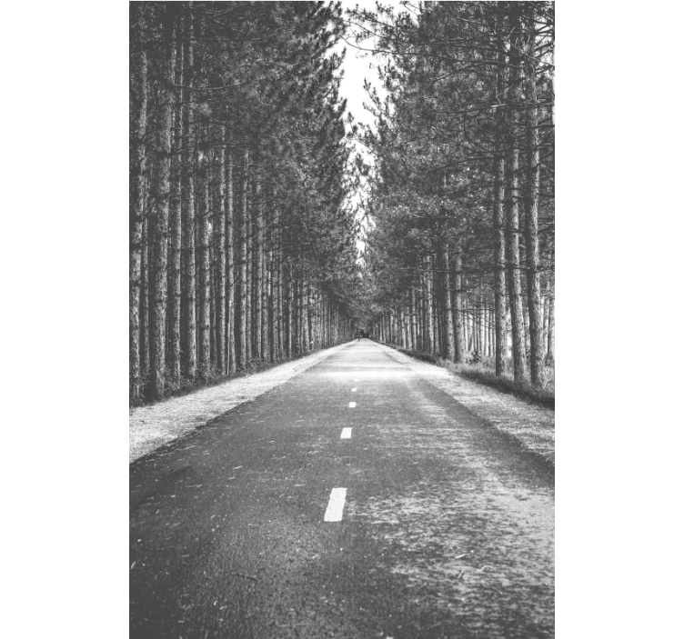 Derűs erdei ösvény Redőnyök egyéb Roló - TenStickers