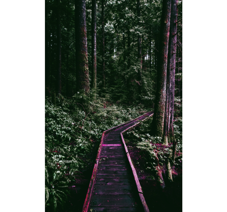 Erdei ösvény redőnyök fák - TenStickers