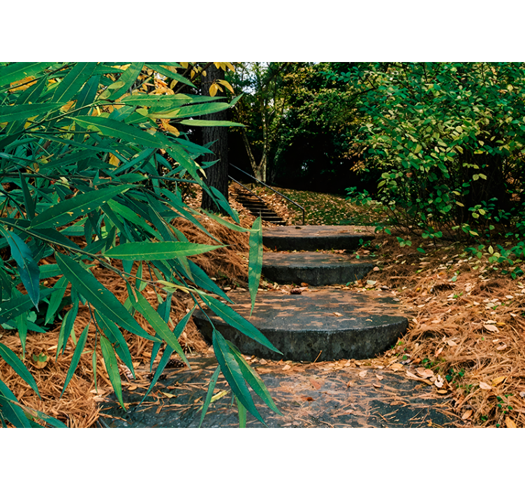 3d erdei és kisút eredeti Sávroló - TenStickers