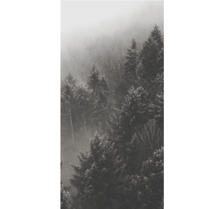 Erdő fehér fenyő eredeti roló - TenStickers