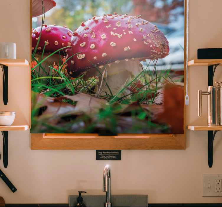 élénk piros gombák Redőnyök Virágok és növények - TenStickers