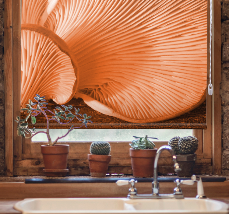 Gomba kopoltyúk közelről Redőnyök gyümölcs és zöldség - TenStickers