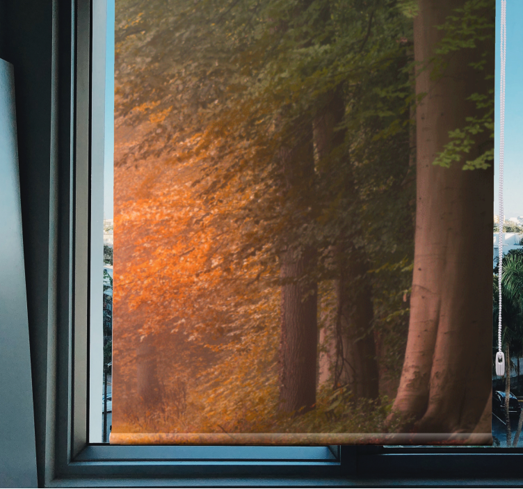 Mély fantasztikus erdő eredeti roló - TenStickers