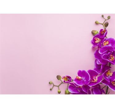 Orchidea rózsaszín háttérrel redőnyök konyha - TenStickers