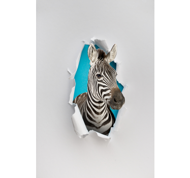 Zebra állat Sávroló - TenStickers