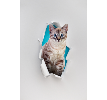 Macskaállat Sávroló - TenStickers