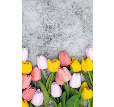 Különféle tulipán virág Sávroló - TenStickers