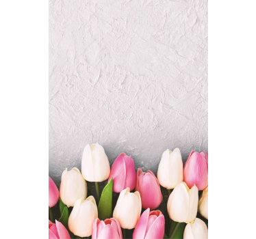 Fehér és rózsaszín tulipán virág Sávroló - TenStickers