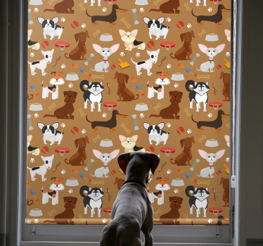 Különböző aranyos kutyák minta gyerekek Sávroló - TenStickers