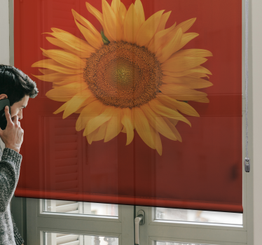 Vörös narancssárga napraforgó virág Sávroló - TenStickers