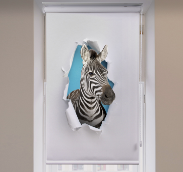 Zebra állat Sávroló - TenStickers