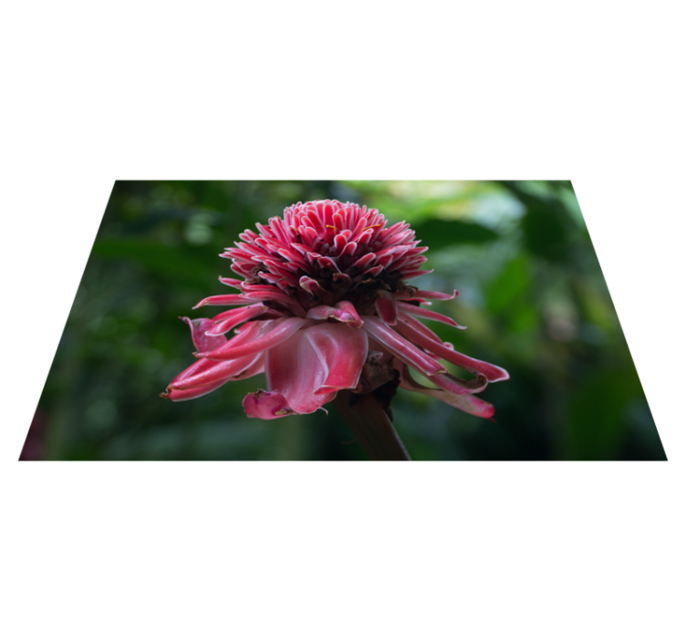 Martinique virág design virágos alátét - TenStickers