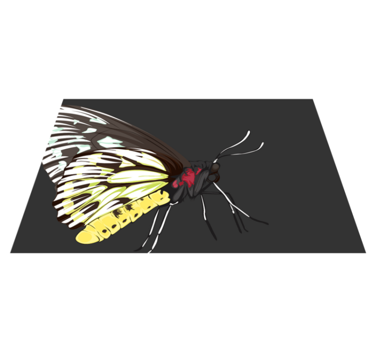 Színes pillangó illusztráció - tányéralátétek eredeti - TenStickers