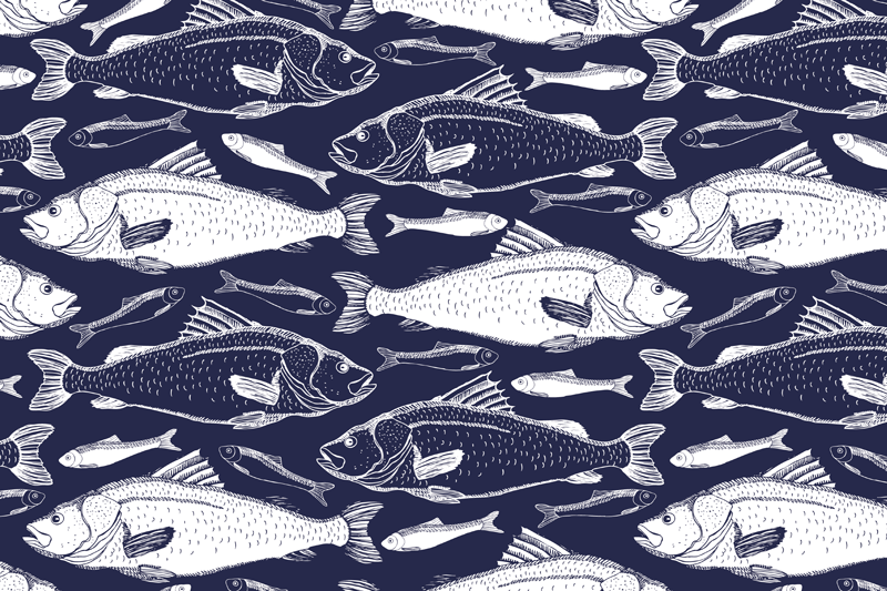 Halak a tengeri alátétek alatt - TenStickers