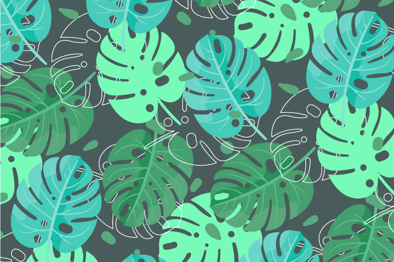 Monstera deliciosa eredeti helyszínek - TenStickers