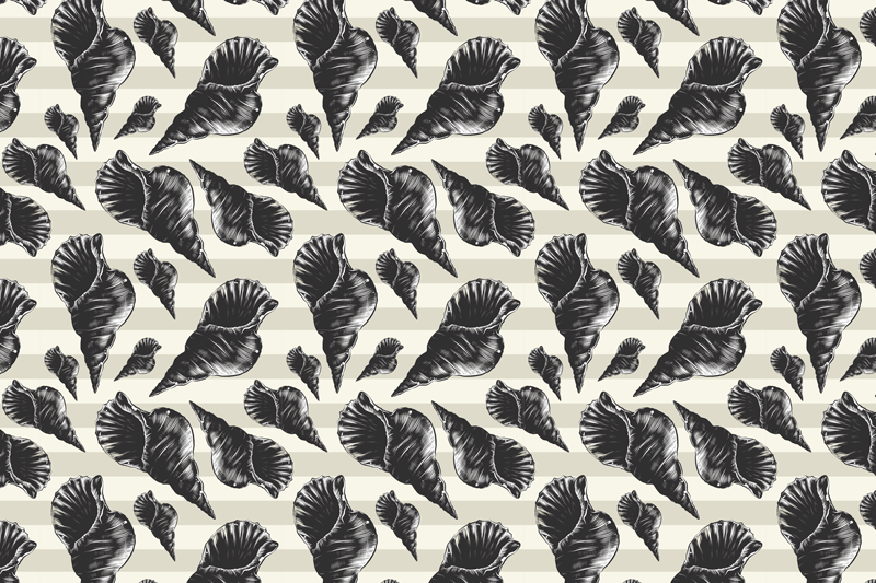 Elegáns kagylómotívumok tányéralátétek modern - TenStickers