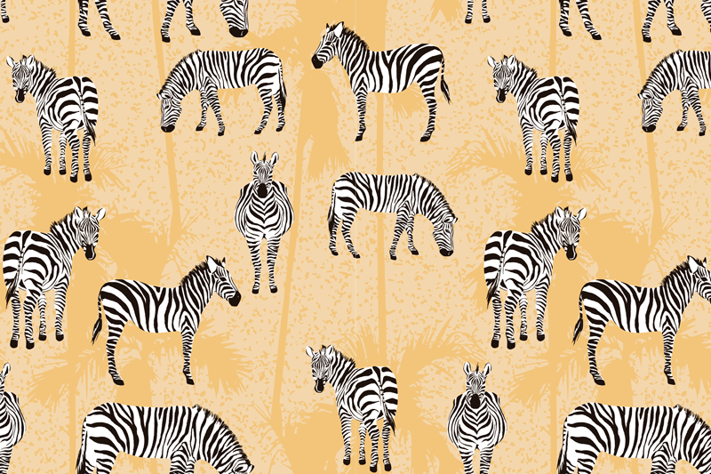 Zebra mintás tányéralátétek eredeti - TenStickers