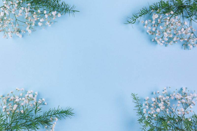 Kék háttér virágok eredeti helytakarók - TenStickers