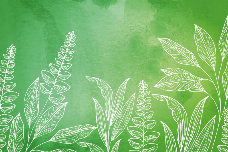 Levélmintás teáskészlet tányéralátétek gyermekeknek - TenStickers