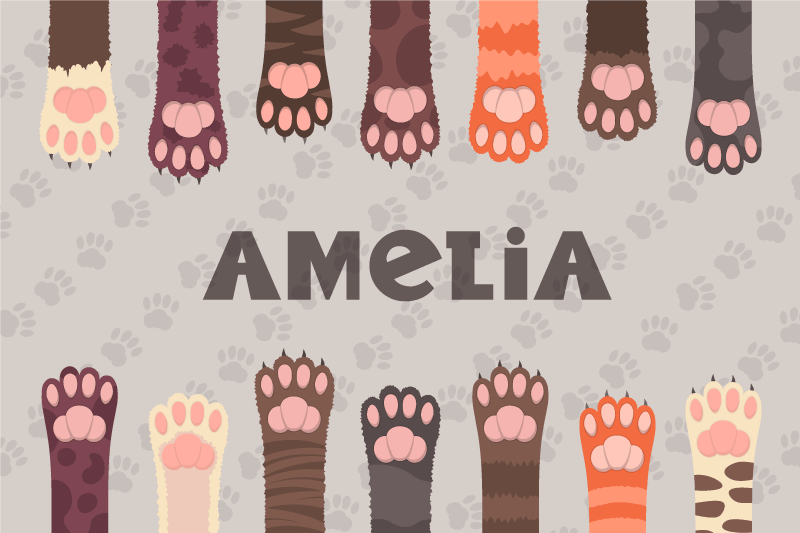 Tarka macskák mancsokkal személyre szabott alátéteket - TenStickers