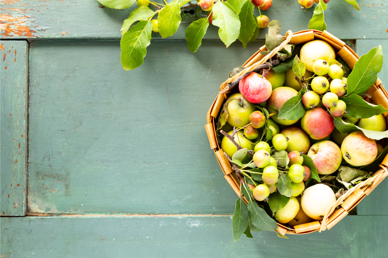 Gyümölcsös kosár elrendezés tányéralátétek itthon - TenStickers
