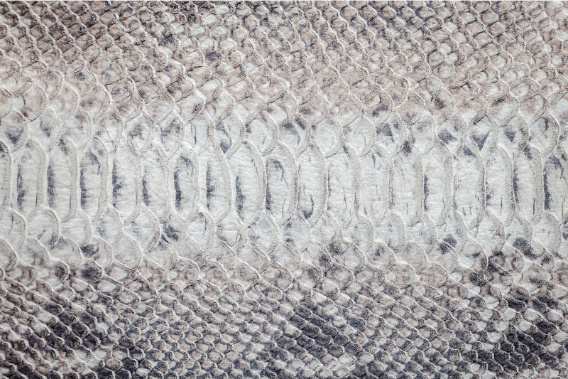 Kígyóbőr mintázatú tányéralátétek struktúra - TenStickers