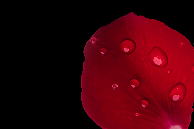 Piros szirom felület tányéralátétek struktúra - TenStickers