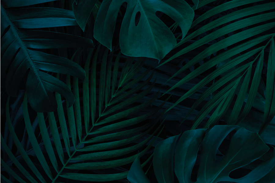 Trópusi levél vonzás tányéralátétek struktúra - TenStickers