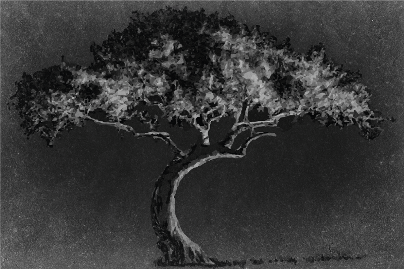 Művészi fa sziluett tányéralátétek struktúra - TenStickers