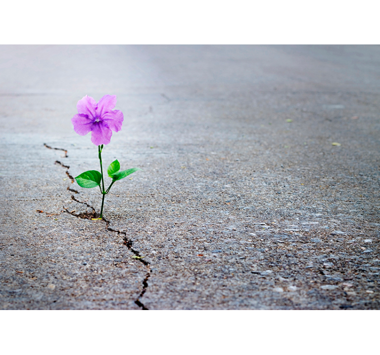 3d virágfestmény tapéta - TenStickers