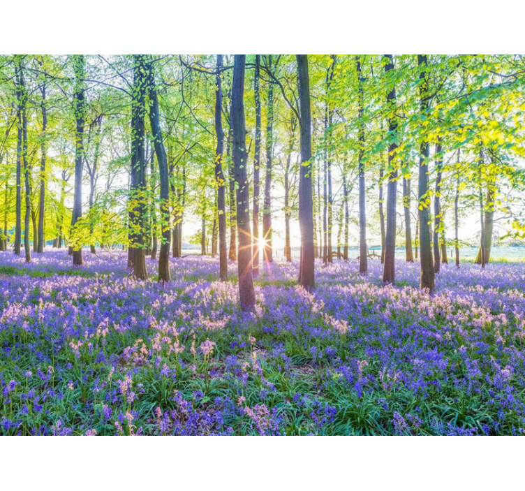 Erdei festmények - természet ihlette modernizmus - TenStickers