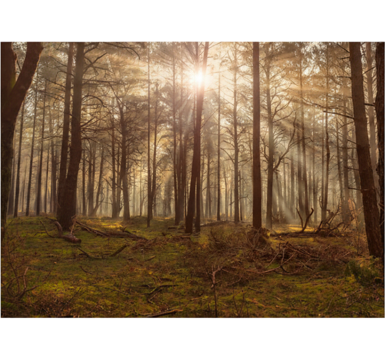 Arany vadvilág pihenőhely erdei festmények - TenStickers