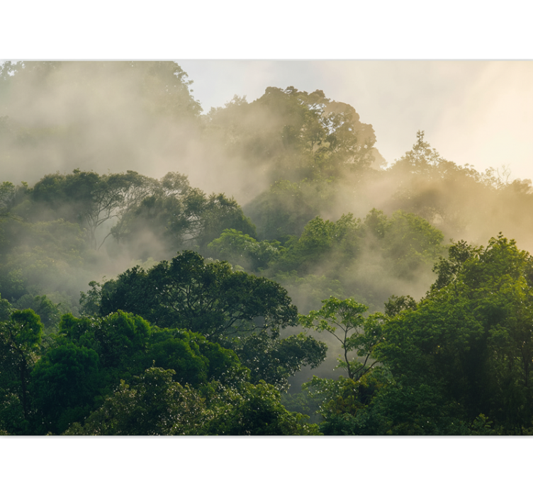 Zöld dzsungel lombkorona erdei festmények - TenStickers