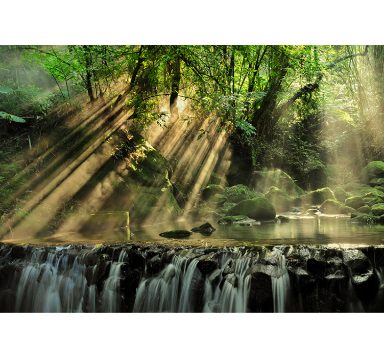 Napsütötte erdei vízesés Erdei festmények - TenStickers