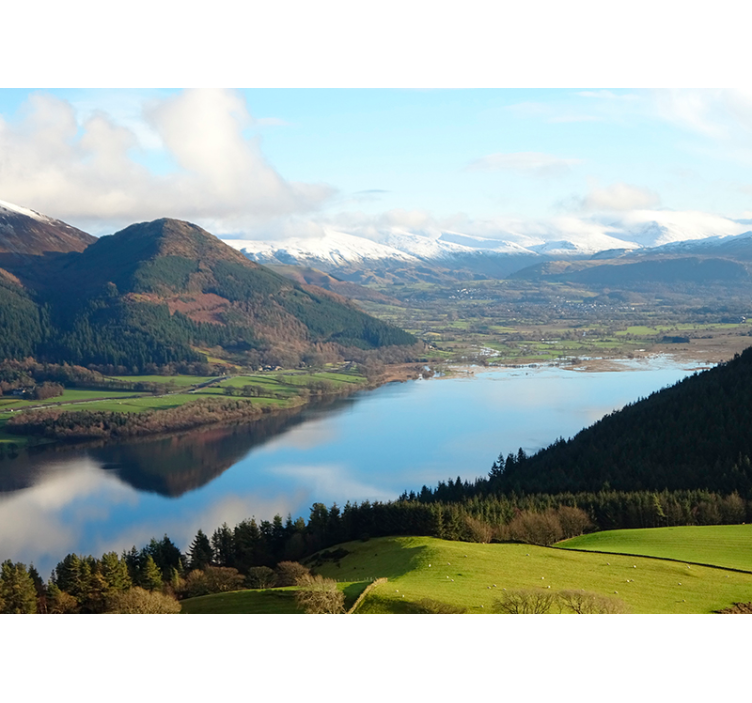 Tóvidék tó falfestmény - TenStickers