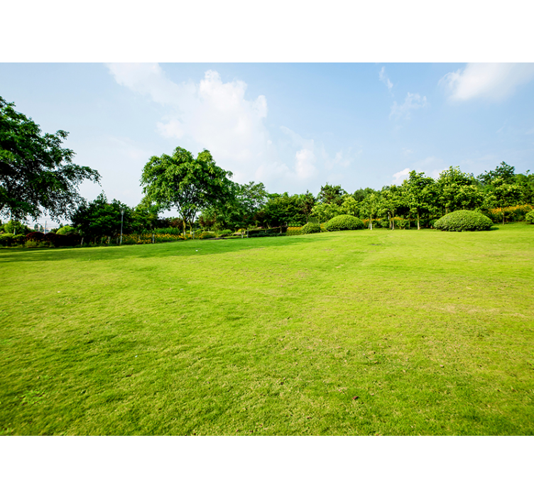 Zöld rét természet falfestmény - TenStickers