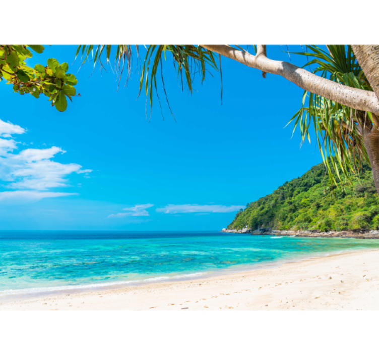 Trópusi tengerparti táj Tengeri Falikárpit - TenStickers