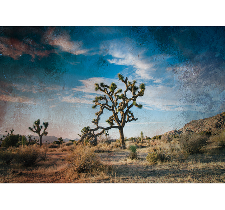 Joshua tree táj Természeti falikárpitok - TenStickers