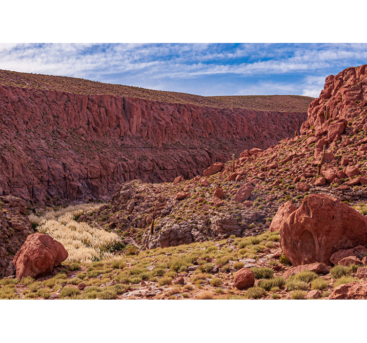 Vörös sivatagi táj Hegyi falfestmények - TenStickers